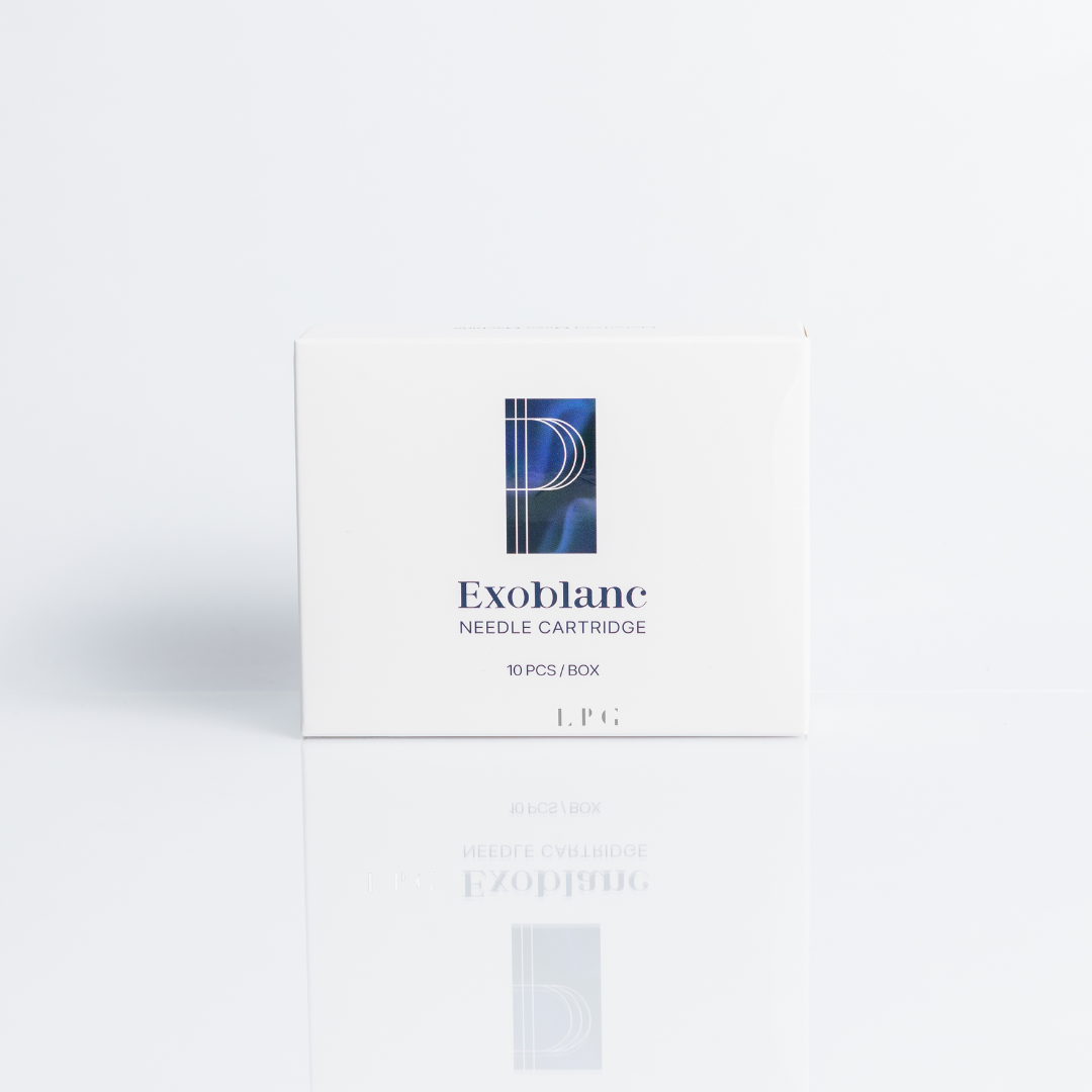 Website-Template-56 Website-Template-56